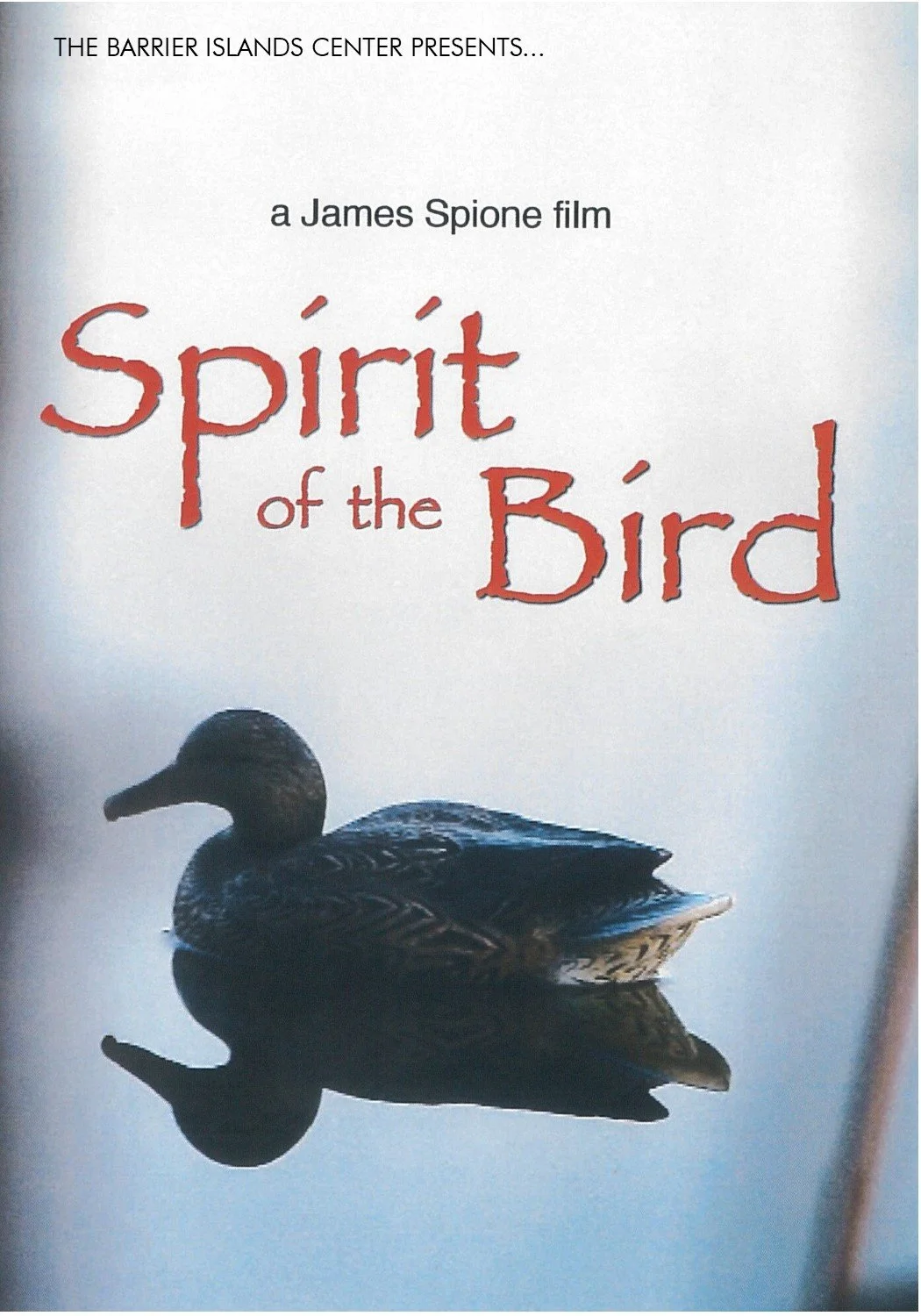 BIC Film: Spirit of the Bird — Barrier Islands Center